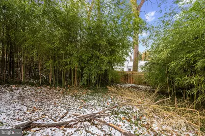 5521 Charles Street, Bethesda, MD 20814 - Photo 19
