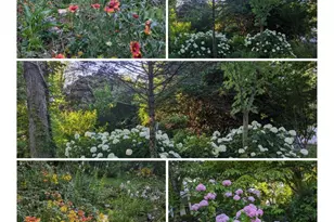 5731 Bradley Blvd, Bethesda, MD 20814 - Photo 57