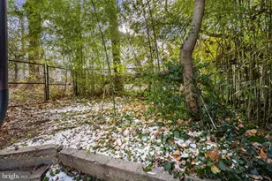 5521 Charles St, Bethesda, MD 20814 - Photo 13