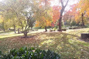 3320 Chiswick Ct, Silver Spring, MD 20906 - Photo 23