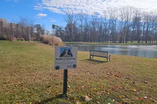 15107 Interlachen Dr, Silver Spring, MD 20906 - Photo 23