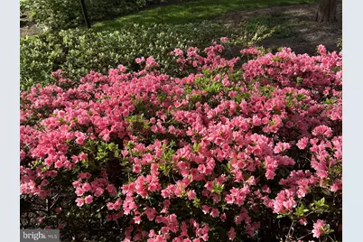 10904 Wickshire Way #F-3, Rockville, MD 20852 - Photo 39