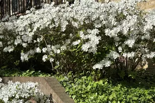 10904 Wickshire Way, Rockville, MD 20852 - Photo 3