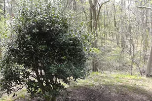 12214 Greenleaf Ave, Potomac, MD 20854 - Photo 47