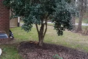 12214 Greenleaf Ave, Potomac, MD 20854 - Photo 45