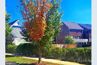 336 Grand Street, Gaithersburg, MD 20878 - Photo 5