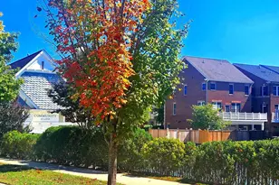 336 Grand St, Gaithersburg, MD 20878 - Photo 5