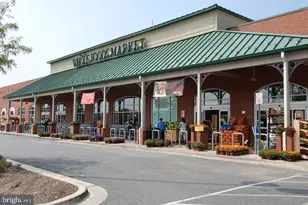 301 Cross Green St, Gaithersburg, MD 20878 - Photo 39