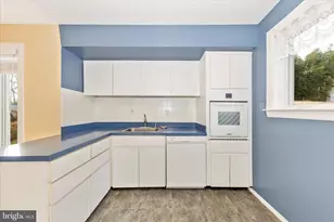 11802 Pittson Rd, Silver Spring, MD 20906 - Photo 13