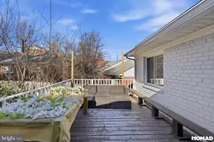 303 Mansfield Rd, Silver Spring, MD 20910 - Photo 5