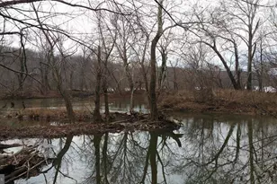 4 Russell Rd, Cabin John, MD 20818 - Photo 43