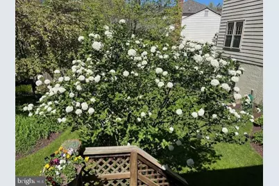 14232 Bradshaw Drive, Silver Spring, MD 20905 - Photo 33