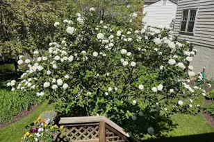 14232 Bradshaw Dr, Silver Spring, MD 20905 - Photo 33