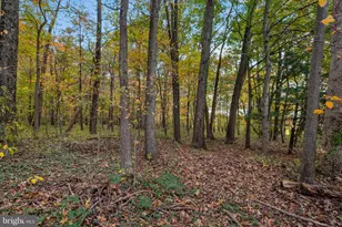 24020 Laytonsville, Gaithersburg, MD 20882 - Photo 43