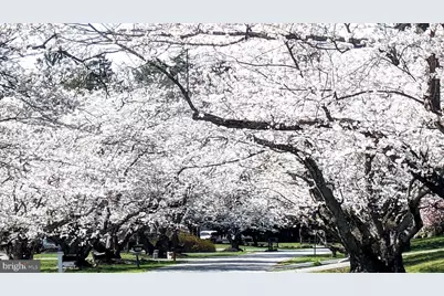 3619 King William Drive, Olney, MD 20832 - Photo 51