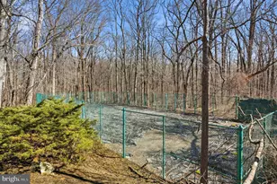 14917 Claude Ln, Silver Spring, MD 20905 - Photo 45