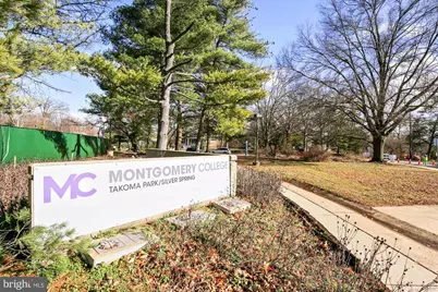 15 Ritchie Avenue, Silver Spring, MD 20910 - Photo 73