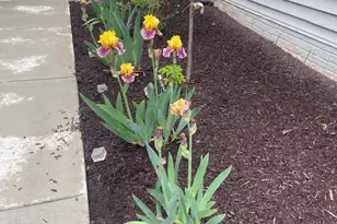 13516 Goldeneye Cir, Clarksburg, MD 20871 - Photo 79