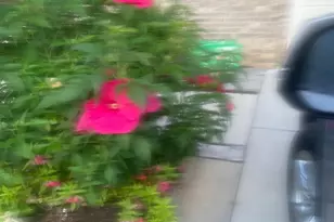 13516 Goldeneye Cir, Clarksburg, MD 20871 - Photo 81