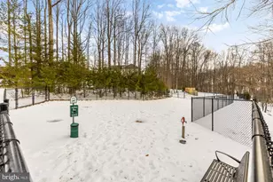 3501 Bellflower Ln, Rockville, MD 20852 - Photo 53