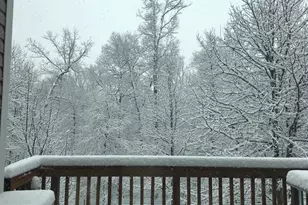 1631 Treetop View Terrace, Silver Spring, MD 20904 - Photo 33