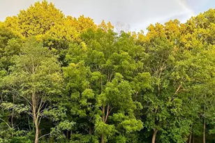 19765 Grn Vlg Dr, Montgomery Village, MD 20886 - Photo 23