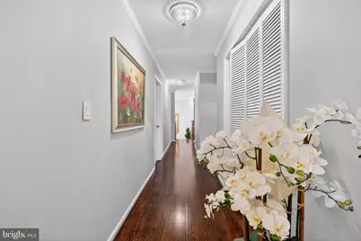 2013 Sullivan Lane, Silver Spring, MD 20906 - Photo 37