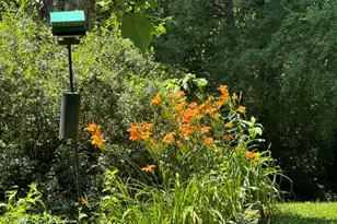 11504 Alcinda Ln, North Potomac, MD 20878 - Photo 35