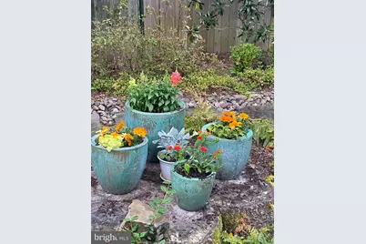 5608 Warwick Place, Chevy Chase, MD 20815 - Photo 53