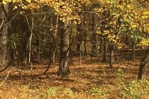 15129 Deer Valley Terrace, Silver Spring, MD 20906 - Photo 29