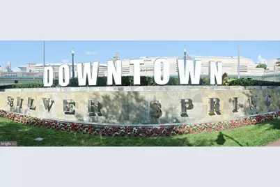 930 Wayne Avenue #405, Silver Spring, MD 20910 - Photo 31