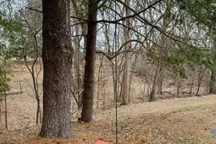 9813 Moyer Rd, Damascus, MD 20872 - Photo 31