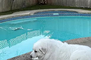 1753 Glastonberry, Potomac, MD 20854 - Photo 5