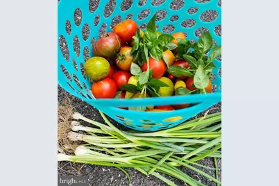 22325 Nicholson Farm Road, Dickerson, MD 20842 - Photo 27