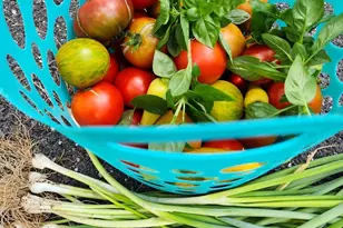 22325 Nicholson Farm Rd, Dickerson, MD 20842 - Photo 27