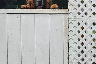 22325 Nicholson Farm Rd, Dickerson, MD 20842 - Photo 29