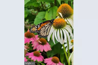 22325 Nicholson Farm Road, Dickerson, MD 20842 - Photo 21