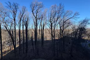 5225 Pooks Hill, Bethesda, MD 20814 - Photo 65