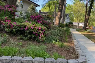 900 Azalea Dr, Rockville, MD 20850 - Photo 43