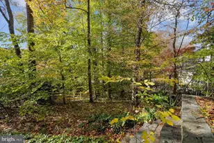 7117 Darby Rd, Bethesda, MD 20817 - Photo 9