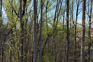 10340 Grosvenor Pl, North Bethesda, MD 20852 - Photo 41