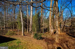 644 Symphony Woods Dr, Silver Spring, MD 20901 - Photo 11