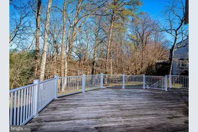 644 Symphony Woods Drive, Silver Spring, MD 20901 - Photo 49
