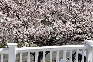 1023 Gaither Rd, Rockville, MD 20850 - Photo 57