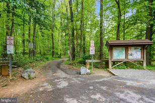 4913 Bluebonnet Ct, Rockville, MD 20853 - Photo 95