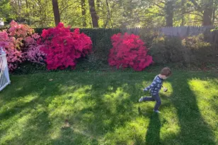 3323 Brooklawn Terrace, Chevy Chase, MD 20815 - Photo 39