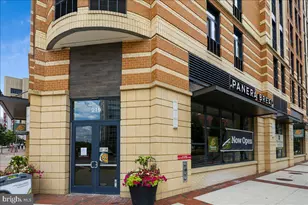 304 Summer Garden Way, Rockville, MD 20850 - Photo 61