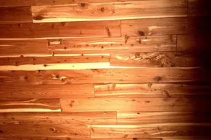 512 Dennis Ave, Silver Spring, MD 20901 - Photo 27