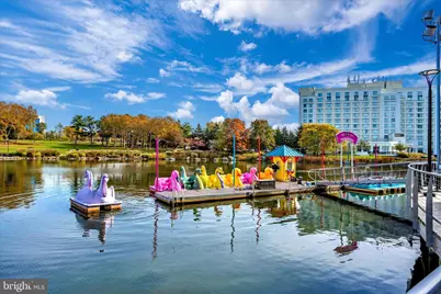 10134 Sterling Terrace, Rockville, MD 20850 - Photo 97