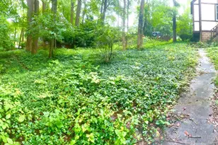 911 Sligo Creek Pkwy, Takoma Park, MD 20912 - Photo 15